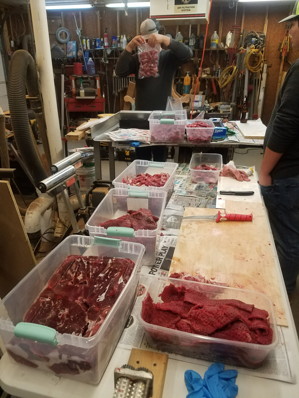 Truths About Wild Hog Meat